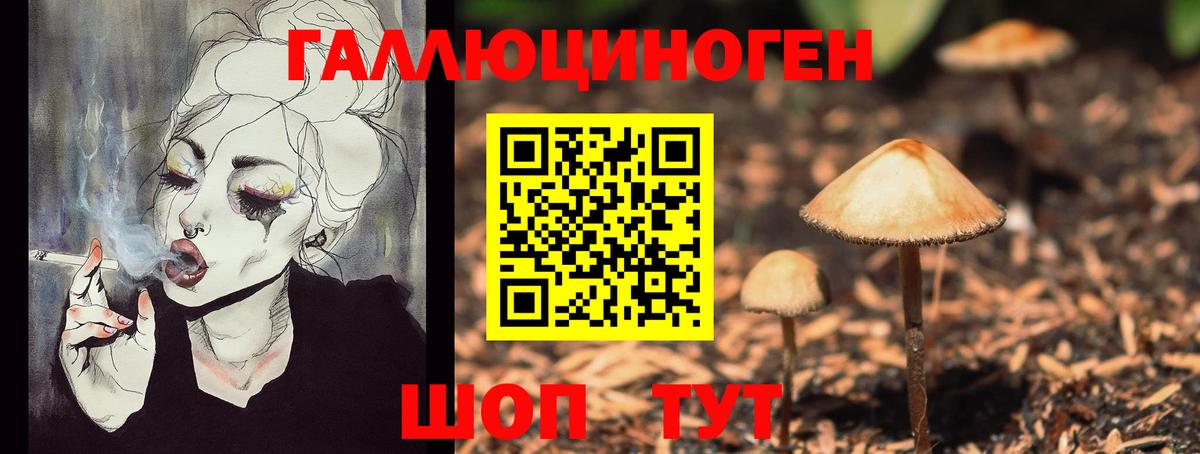 Шадринск  Псилоцибиновые грибы MAGIC MUSHROOMS  Вход с VPN  Галлюциногенные грибы прущие грибы 